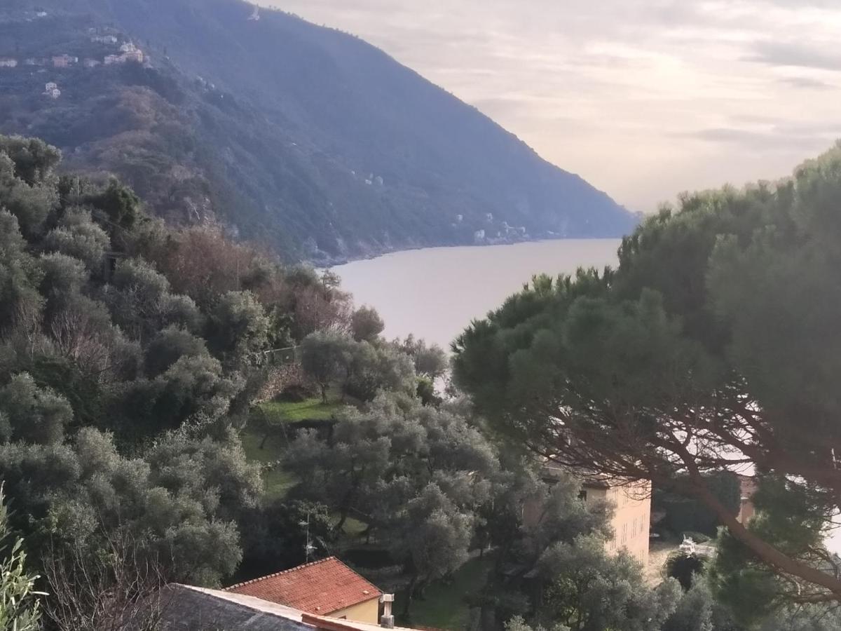 Villa San Prospero 卡莫利 外观 照片