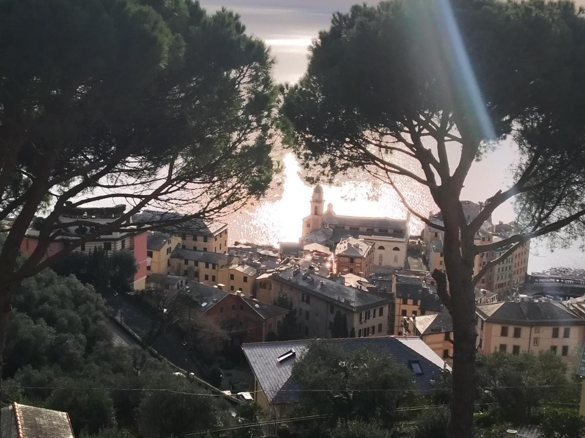 Villa San Prospero 卡莫利 外观 照片