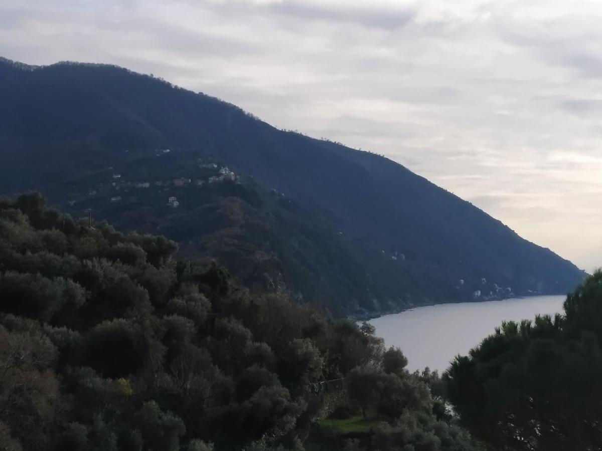 Villa San Prospero 卡莫利 外观 照片