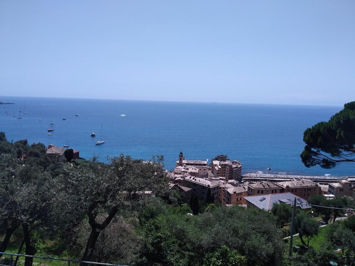 Villa San Prospero 卡莫利 外观 照片