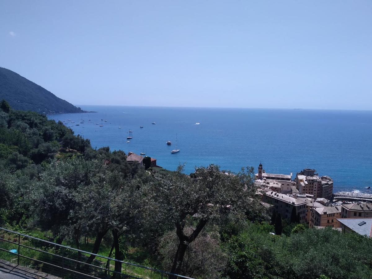 Villa San Prospero 卡莫利 外观 照片