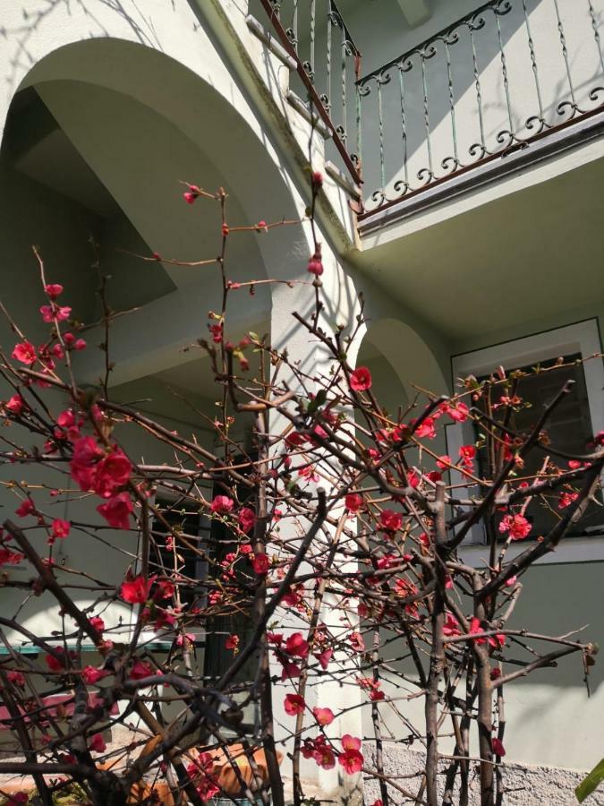 Villa San Prospero 卡莫利 外观 照片