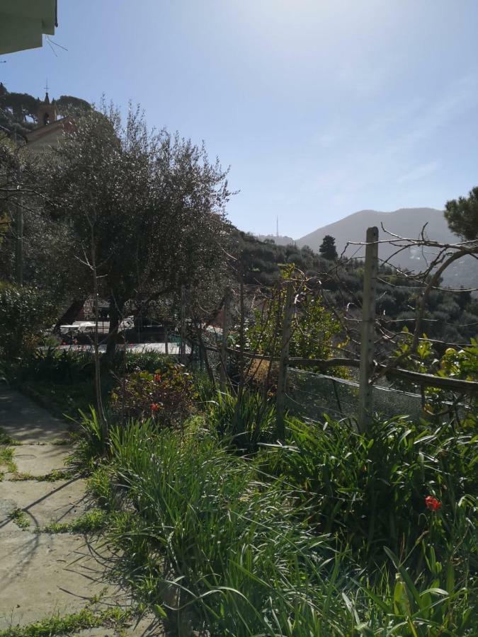 Villa San Prospero 卡莫利 外观 照片