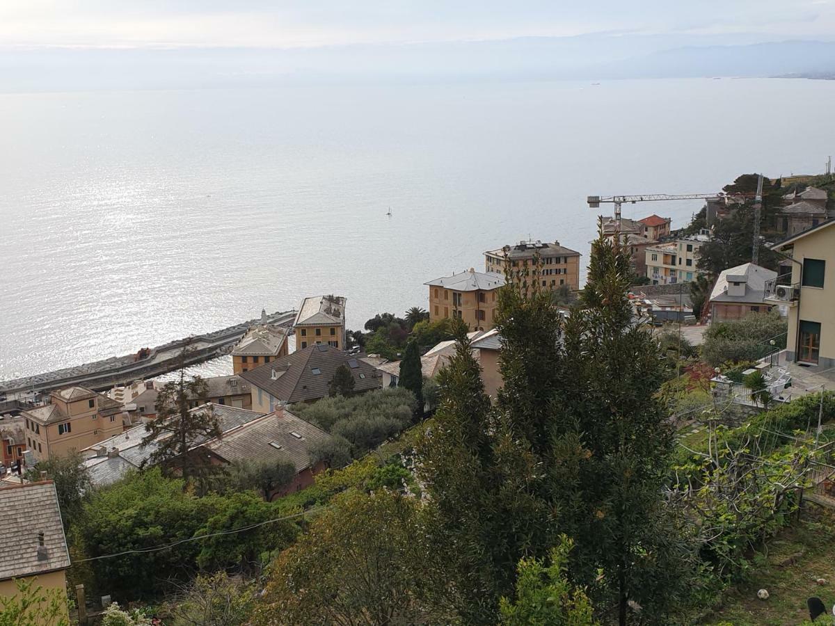 Villa San Prospero 卡莫利 外观 照片