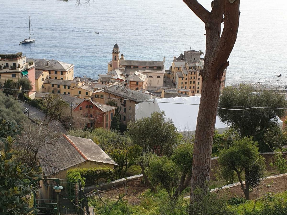 Villa San Prospero 卡莫利 外观 照片