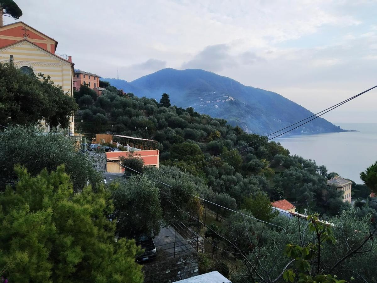 Villa San Prospero 卡莫利 外观 照片